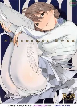 Nocturnal Swan