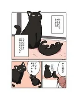 Kuroneko No Ohanashi