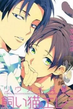 Đại Chiến Titan – Doujinshi Levieren