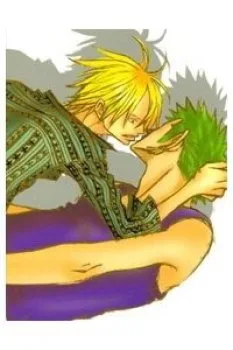 Vua Cướp Biển Dj – Zoro Và Sanji